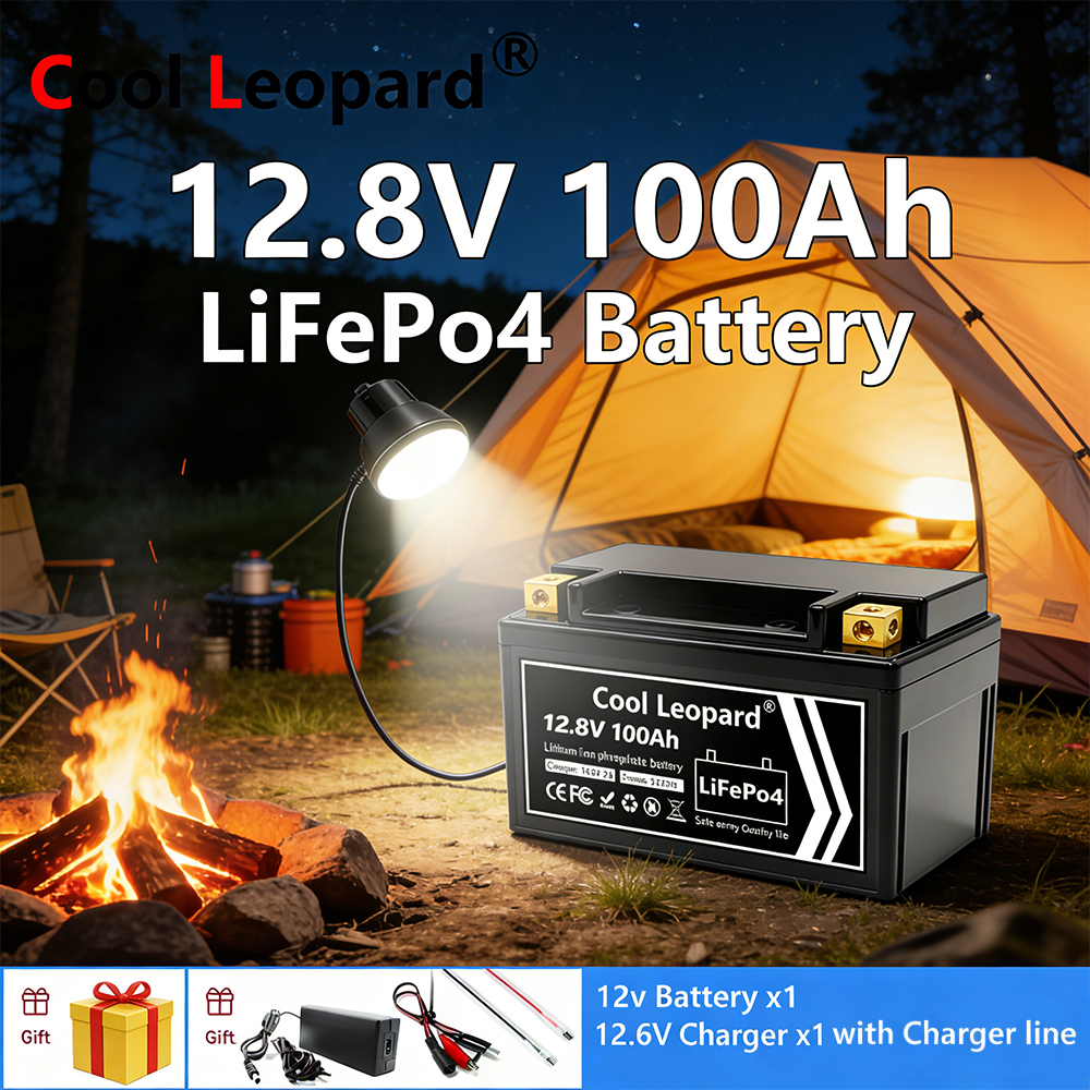 Lightweight 12V 100Ah LiFePO4  - Fish Finder Charger review and price